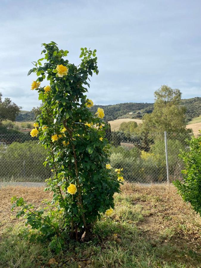 Villa Casa Rosa, El Torcal Almogía Eksteriør billede